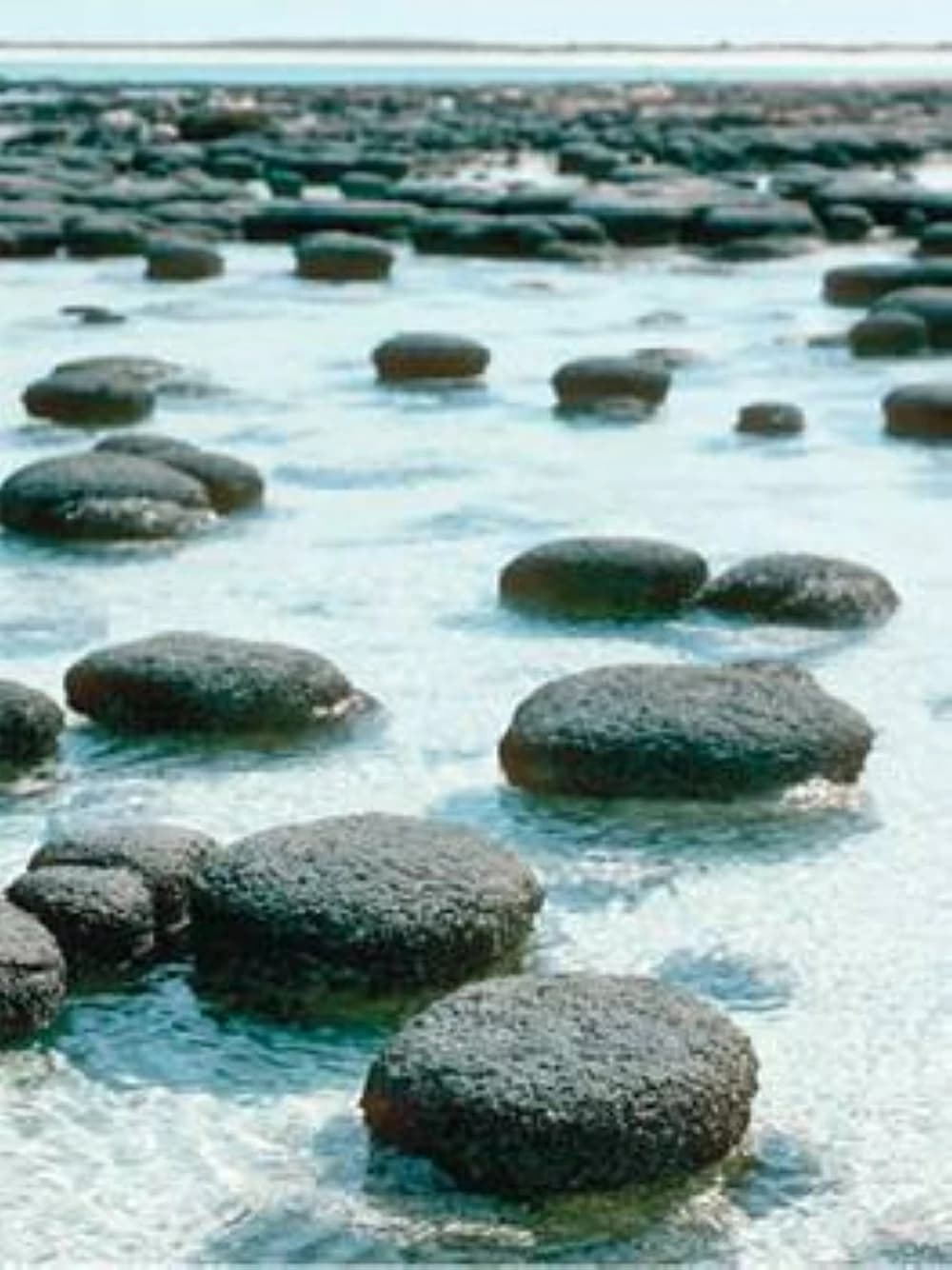 اكتشاف علمي يفتح آفاق البحث عن الحياة خارج الأرض