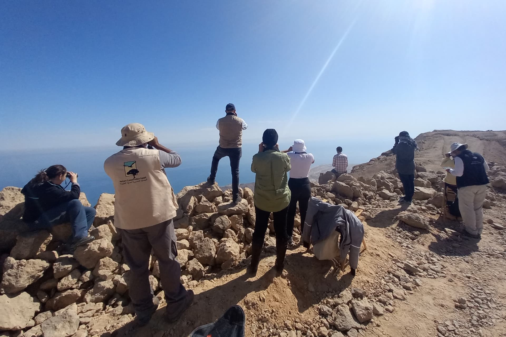 علماء مصريون يرصدون الطيور المهاجرة في رمضان من قمة الجلالة