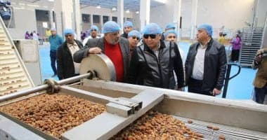 مصر تعزز ريادتها العالمية في إنتاج التمور استعداداً لرمضان